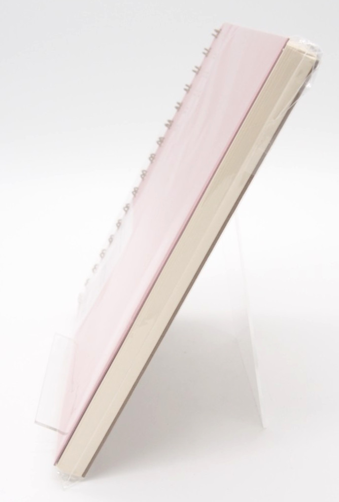 (1) Ramona & Ruth DAILY OVERVIEW PLANNER Undated 3-month Journal Dusty Rose New