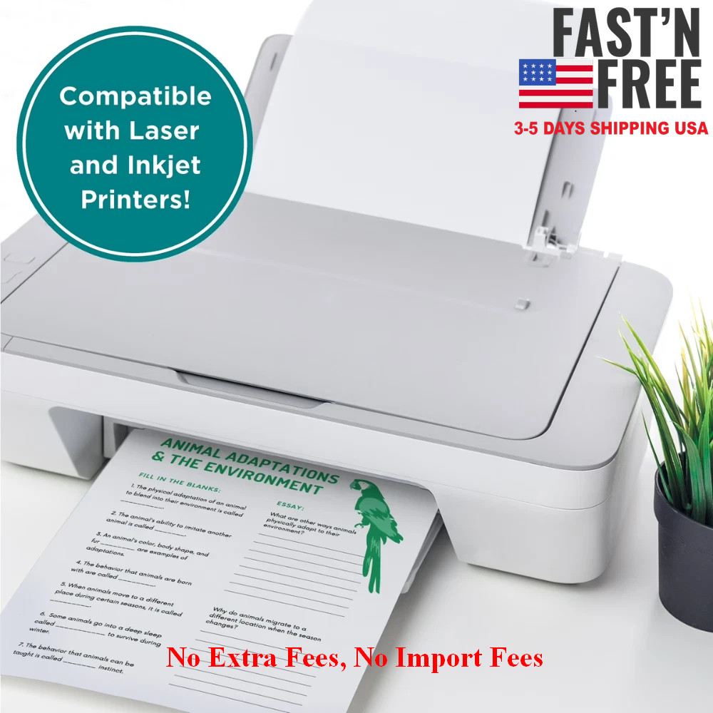 Elementree Sustainable Multipurpose Paper, 20 lb, 8.5 x 11″, White, 4000 Sheets