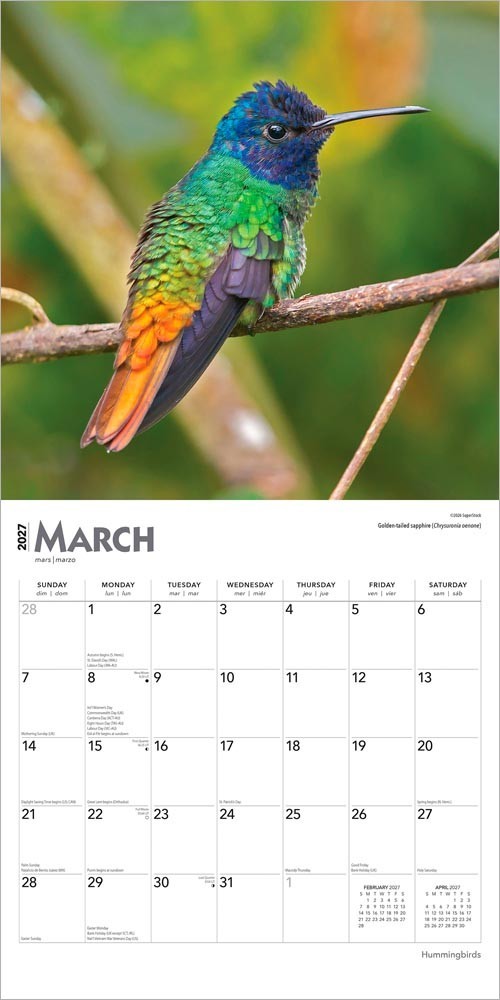 Hummingbirds | 2027 12×24″ (Hanging) Monthly Square Wall Calendar | Plastic-Free