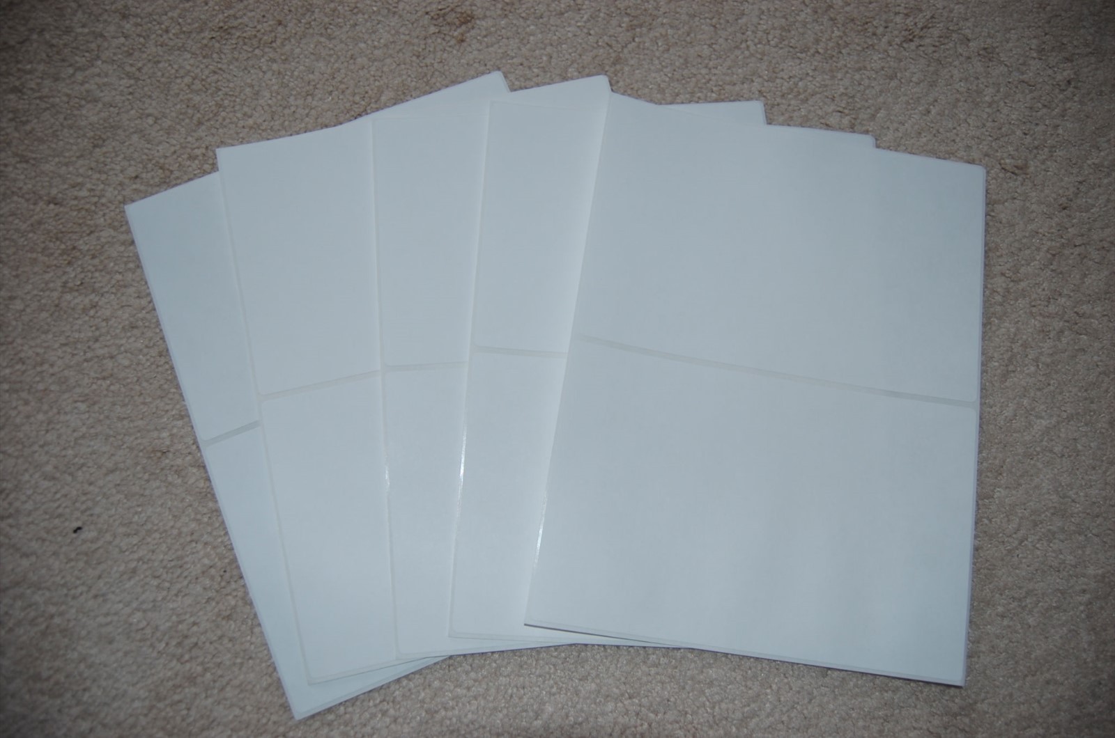800 Round Corner-Shipping Labels-Made in USA-Self Adhesive-USPS UPS FED-8.5×11
