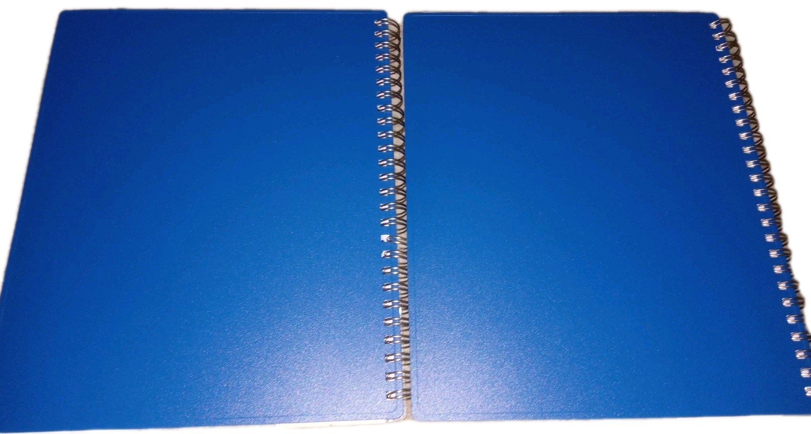 Set Of 2 Blue Sky Rachel Parcell Jan-Dec 2026 Calendar Planner Weekly New Lemon