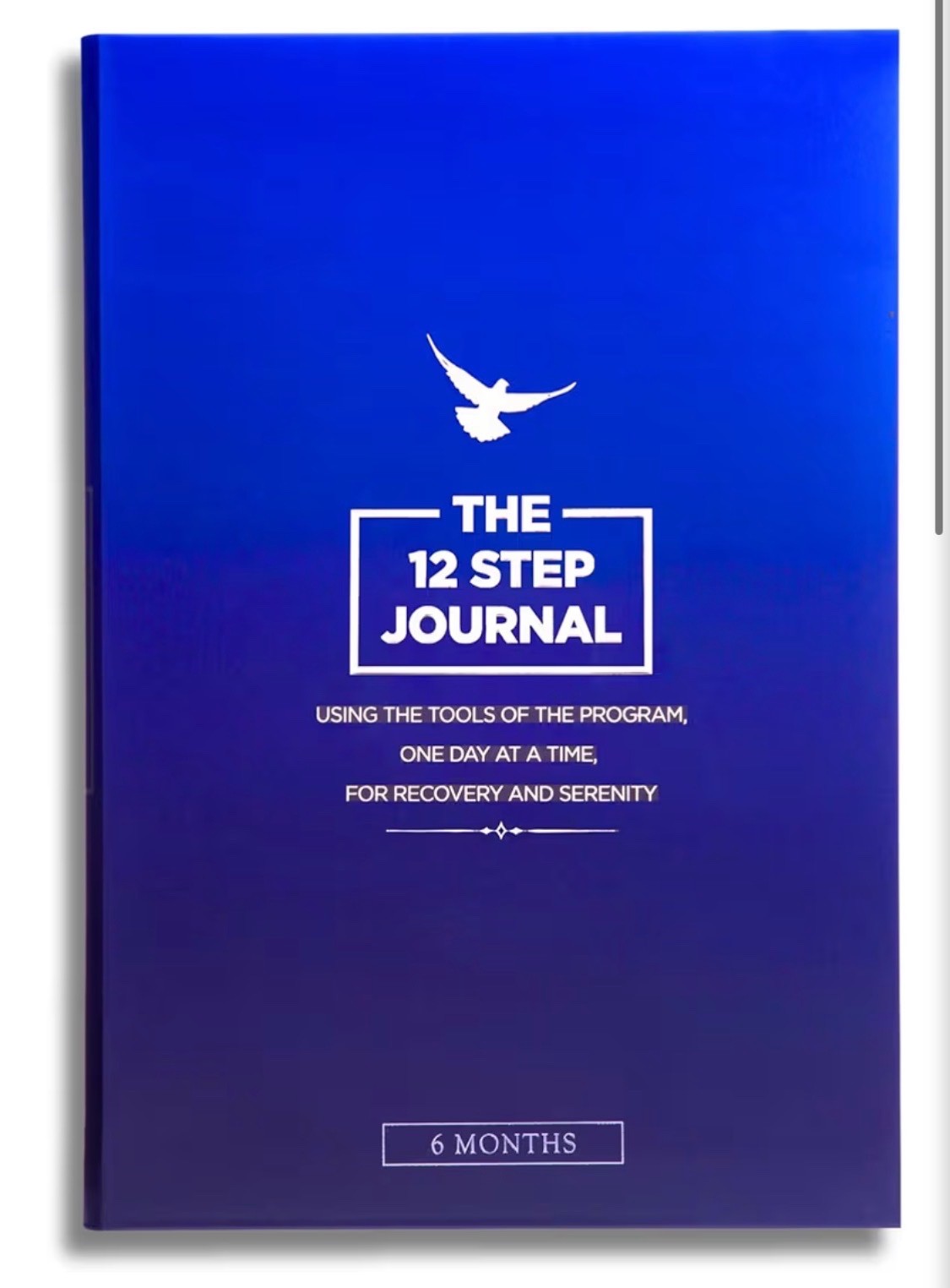The 12 Step Journal: Using the Tools of the Program, One Day at a Time, for Reco