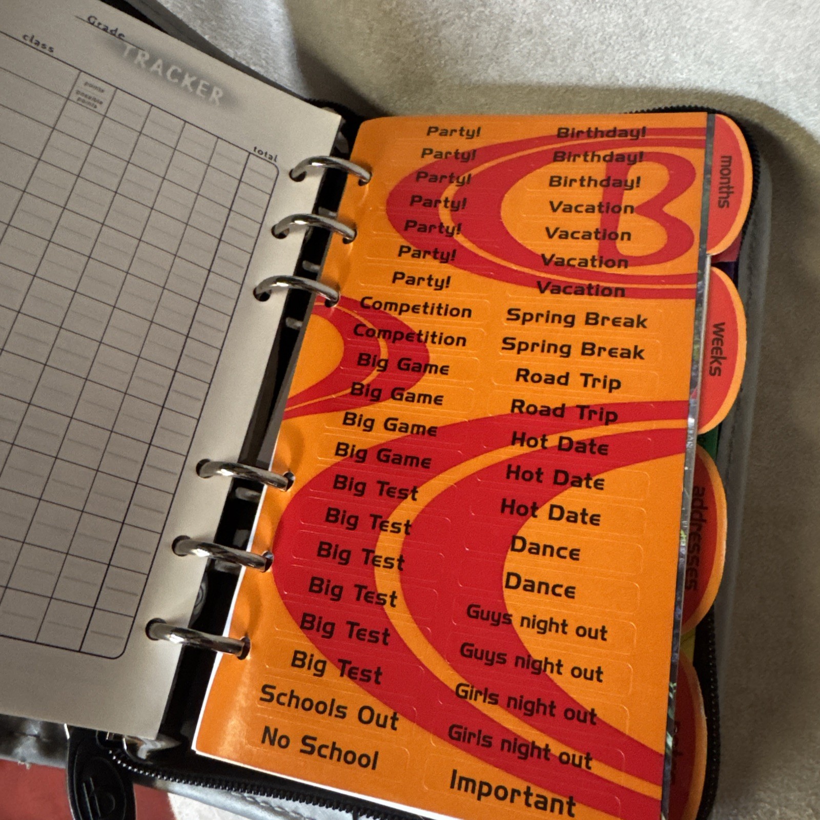 Vintage Y2K Buckle Little Day Planner Assignment Organizer Prop Time capsule