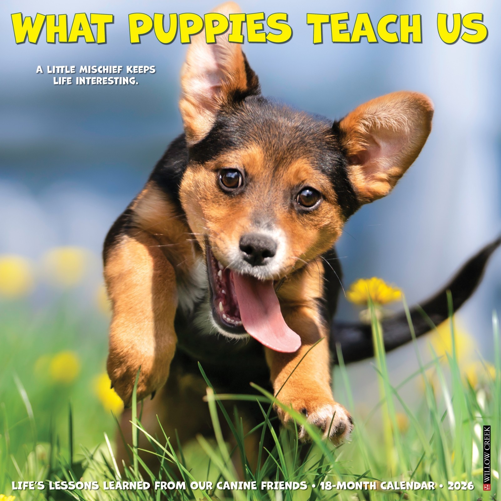 What Puppies Teach Us 2026 12″ x 12″ Wall Calendar (free shipping)