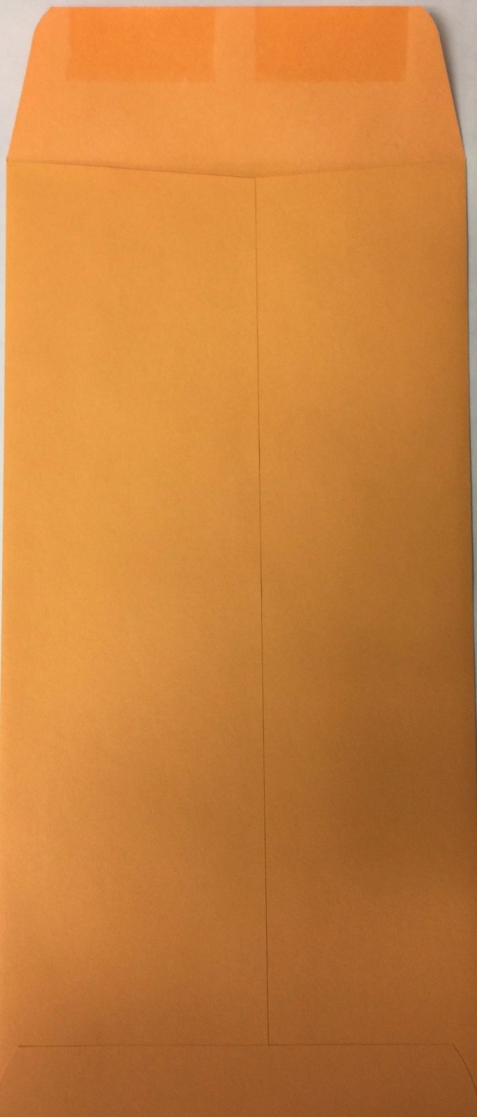 Moist and Seal Imprinted License Plate Envelope 100 Qty per box (R78M)