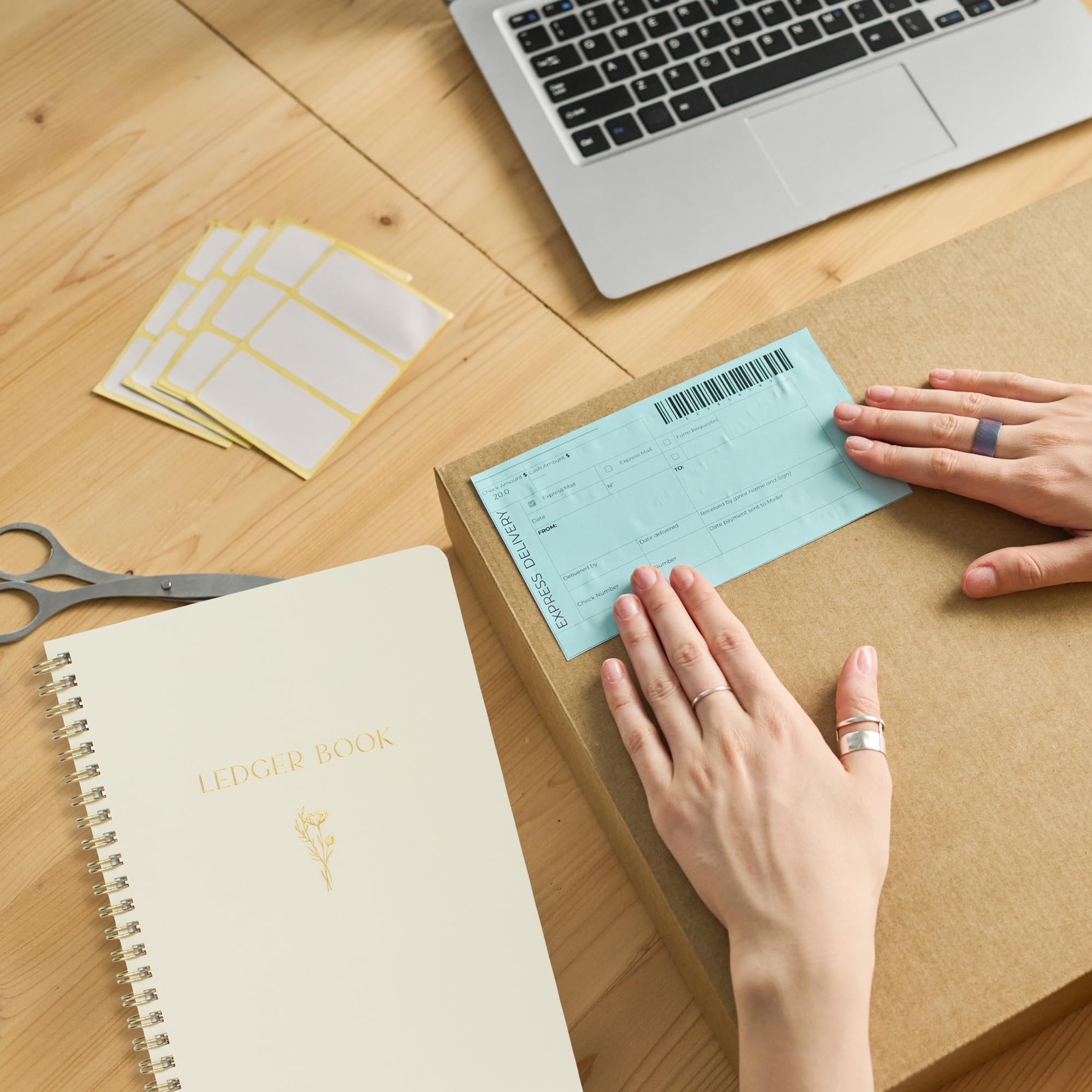 Ledger Book: Income and Expense Log Book for Small Business and Personal Finance