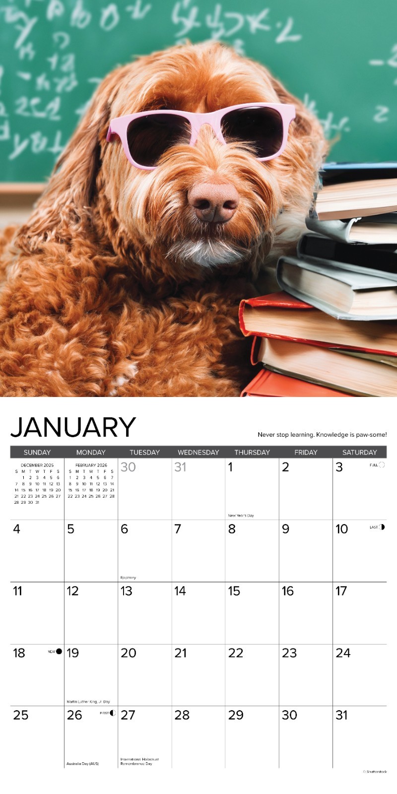 What Dogs Teach Us 2026 12″ x 12″ Wall Calendar (free shipping)