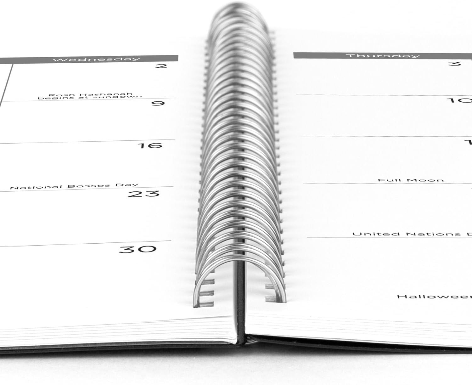 Mead 2025 Planner, Weekly & Monthly, 15-Month, 8-1/2″ X 11″, Large, Basic, Black