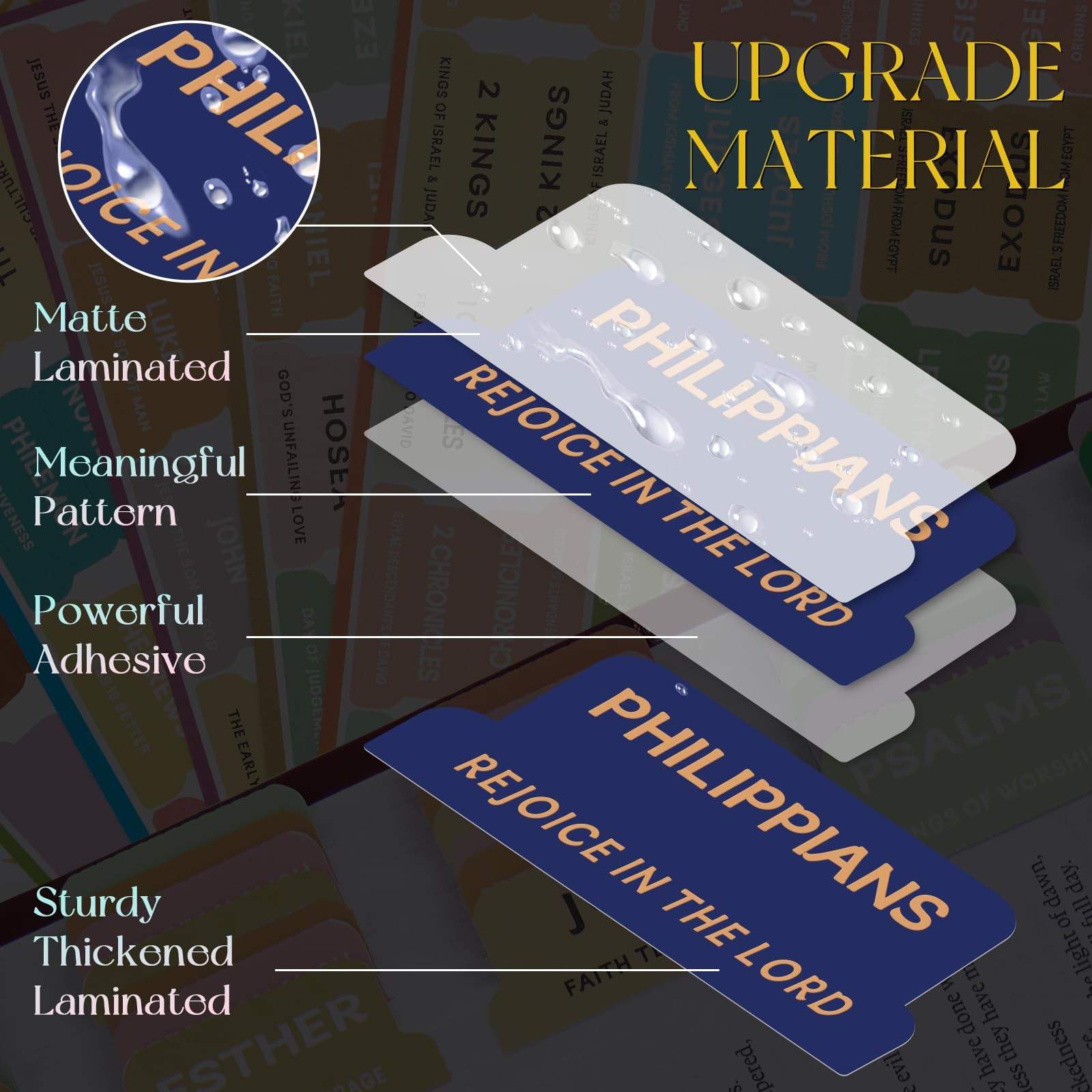 Navy Blue Bible Tabs Men 75 Index Gold Foil Lettering Chapter Summaries