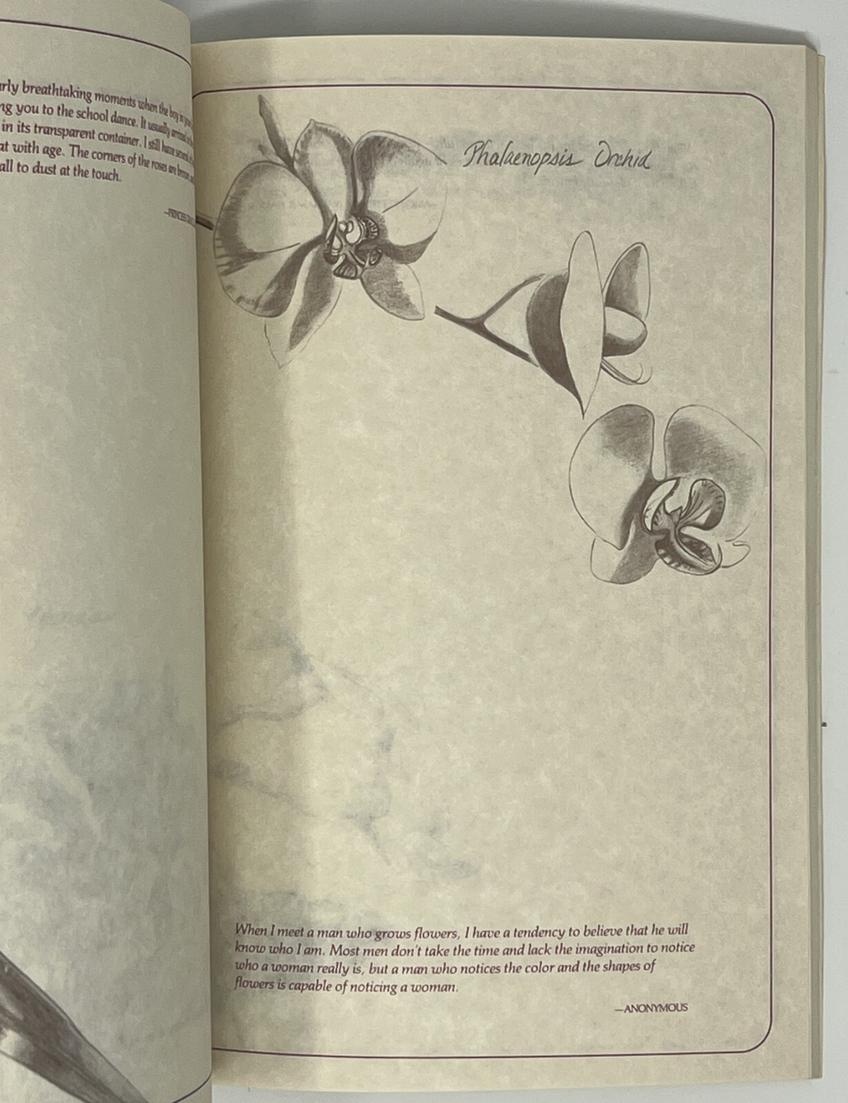 Flower Notebook: Illustrated Journal w/ Space for Notes – 1985 PB Running Press