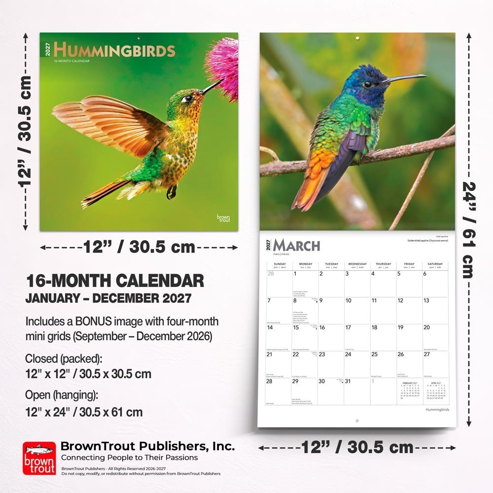 Hummingbirds | 2027 12×24″ (Hanging) Monthly Square Wall Calendar | Plastic-Free