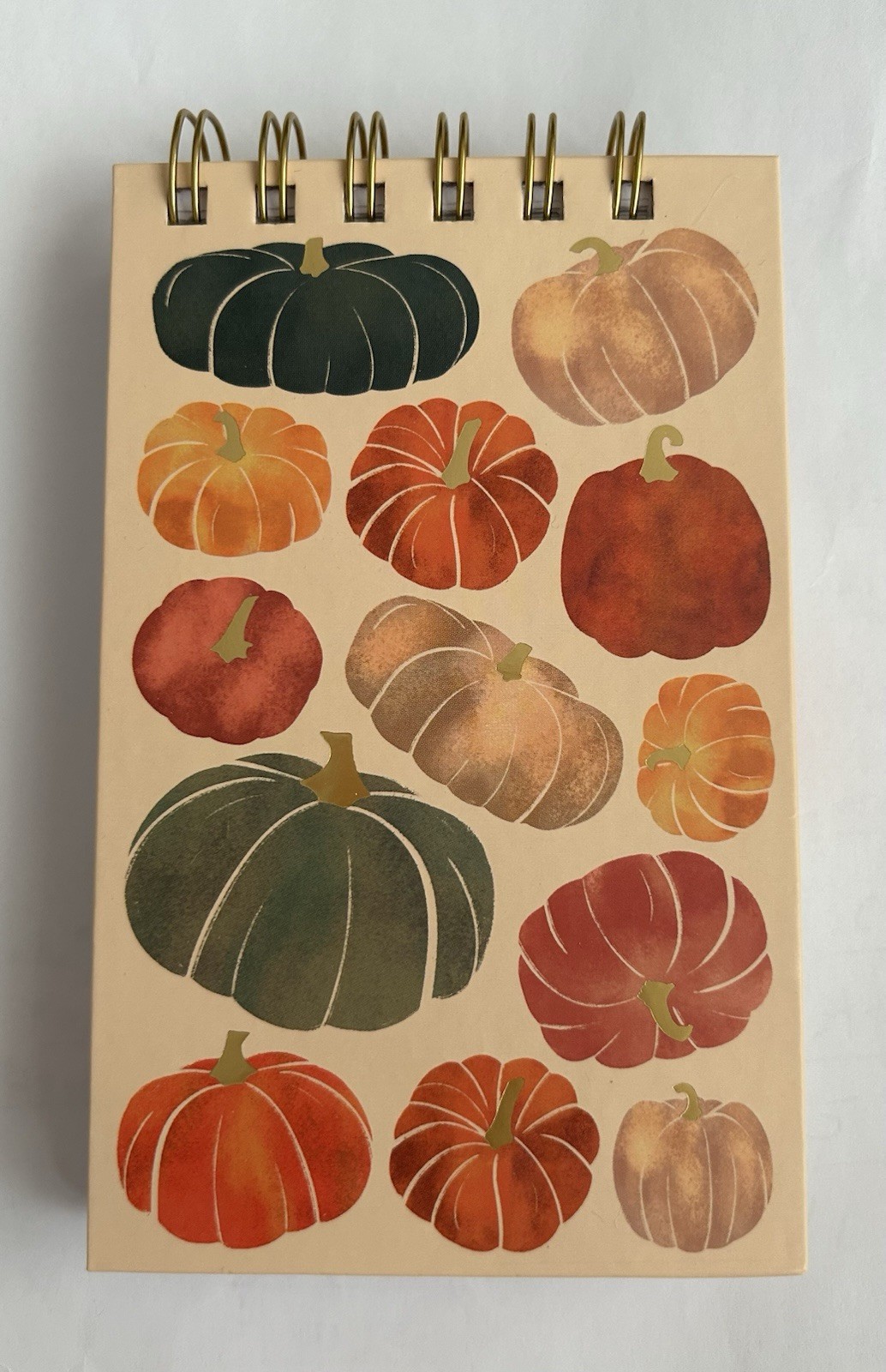 New Lady Jayne Pumpkin Spiral Pad with Pen 6″ x 3 3/4″ made Vietnam 125 Sheets