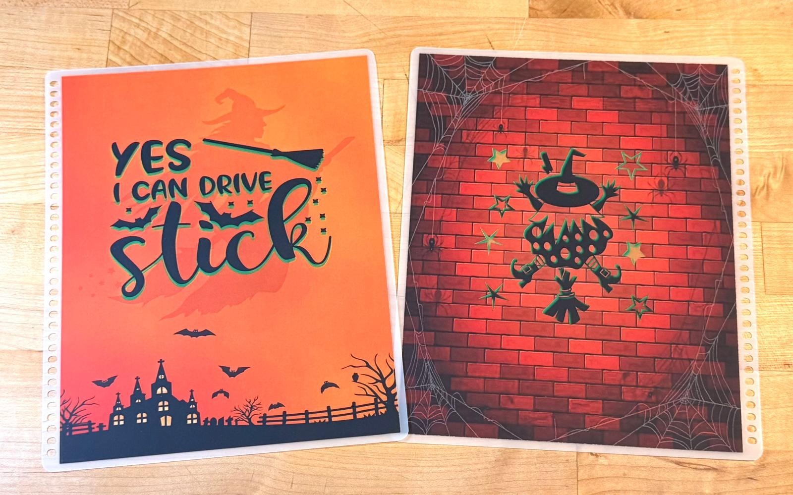 MATTE Finish Witch “Yes I drive Stick” Cover Set 4 use w/ Erin Condren Planner~