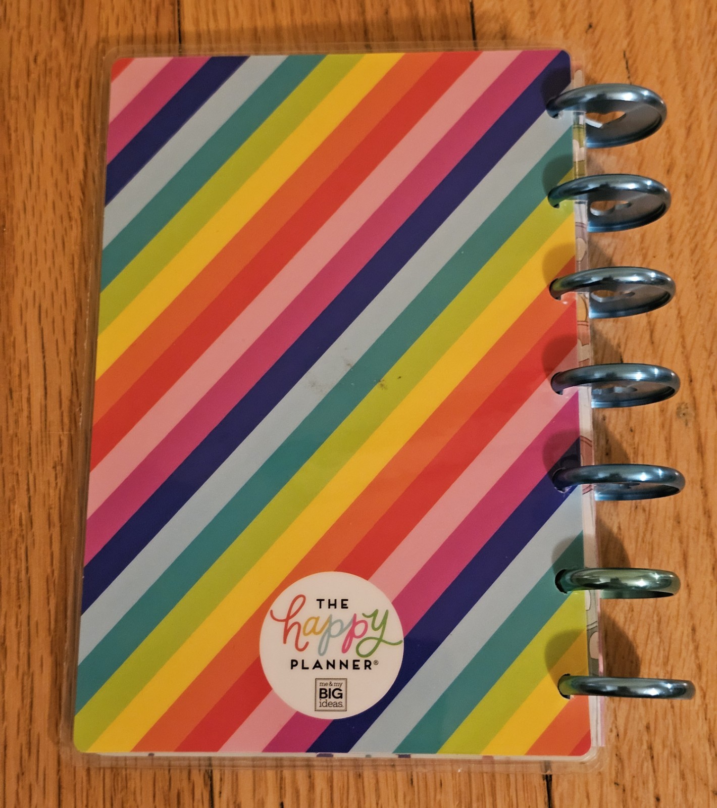 Metal Disc Mini The Happy Planner Fitness Notebook Planner Babe Habit Tracker
