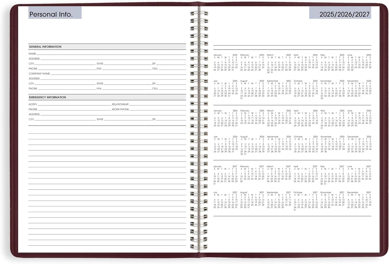 AT-A-GLANCE 2026 Appointment Book Planner, Weekly, 8″ X 11″, Large, Quarter-Hour