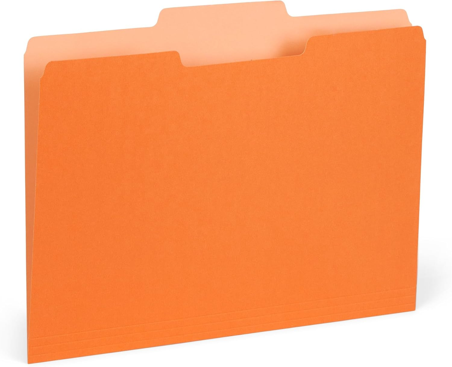 File Folders Letter Size 1/3 Cut Tabs 100 Pk Various Colors Two Tone Durable