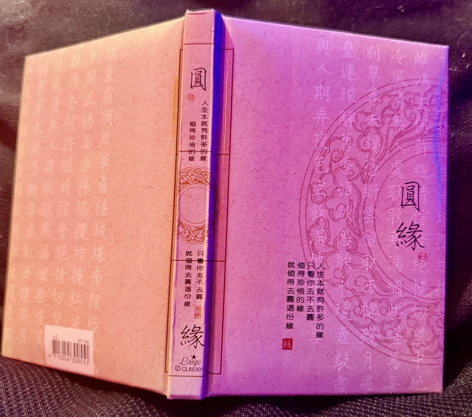 Beautifully Illustrated Chinese Blank Journal CL85301