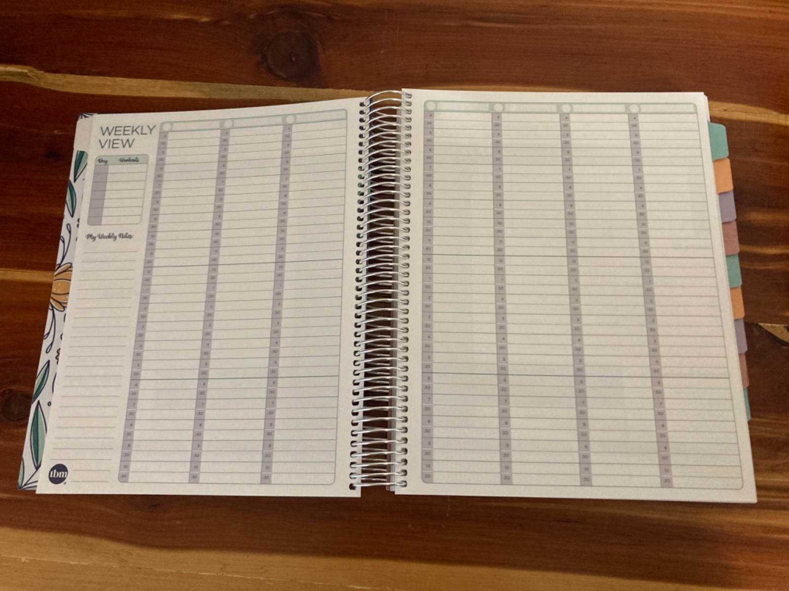NEW The Budget Mom Live Rich Planner (Full Size) and White Folio