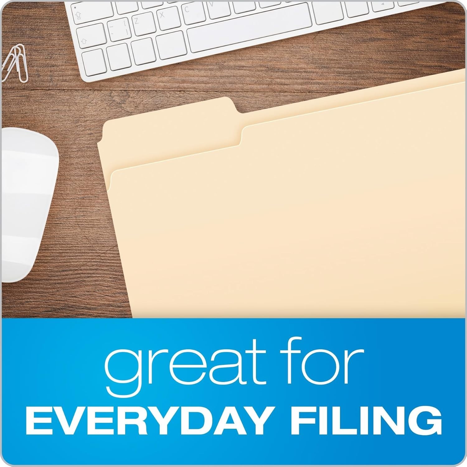 File Folders, Letter Size, 1/3 Cut, Manila, 250 per Box (752250), 3 Tab Position