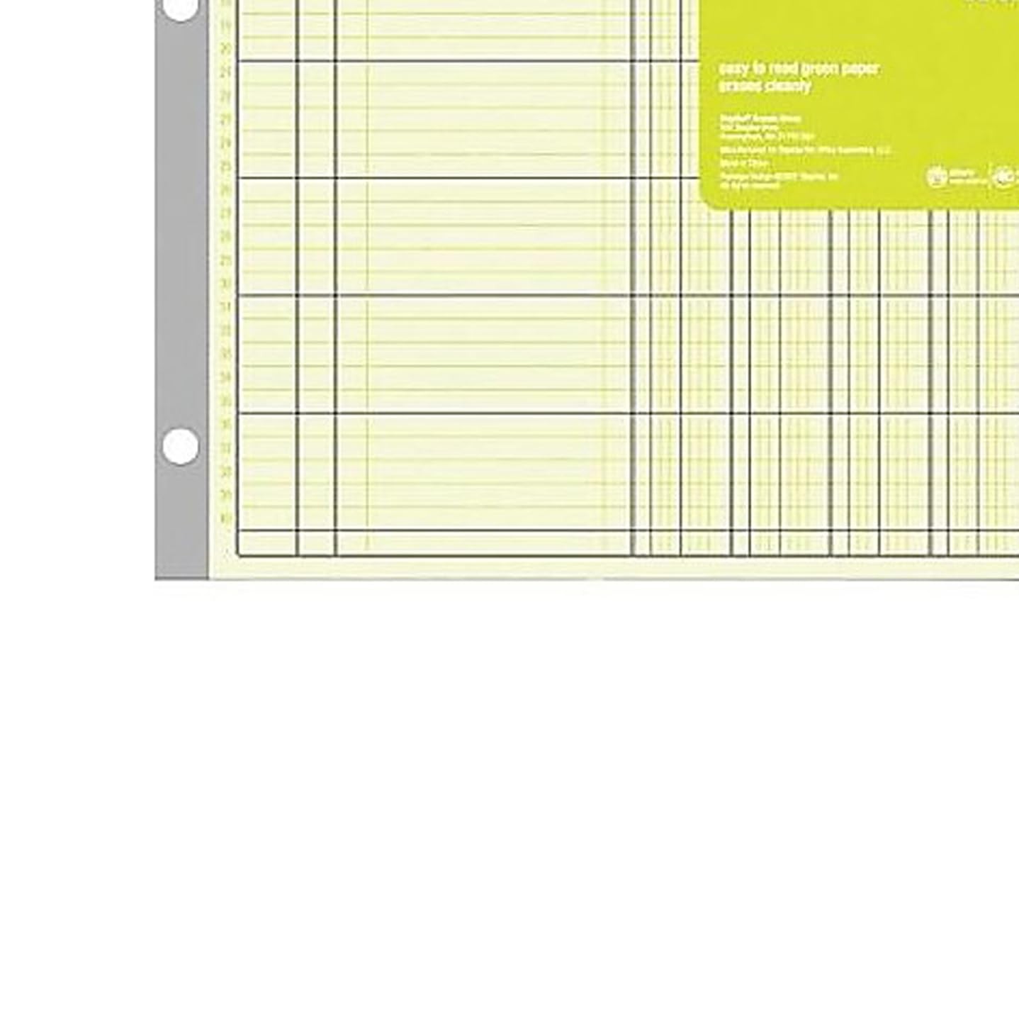 Staples Columnar Book, 12‑Column Accounting Ledger, Green Analysis