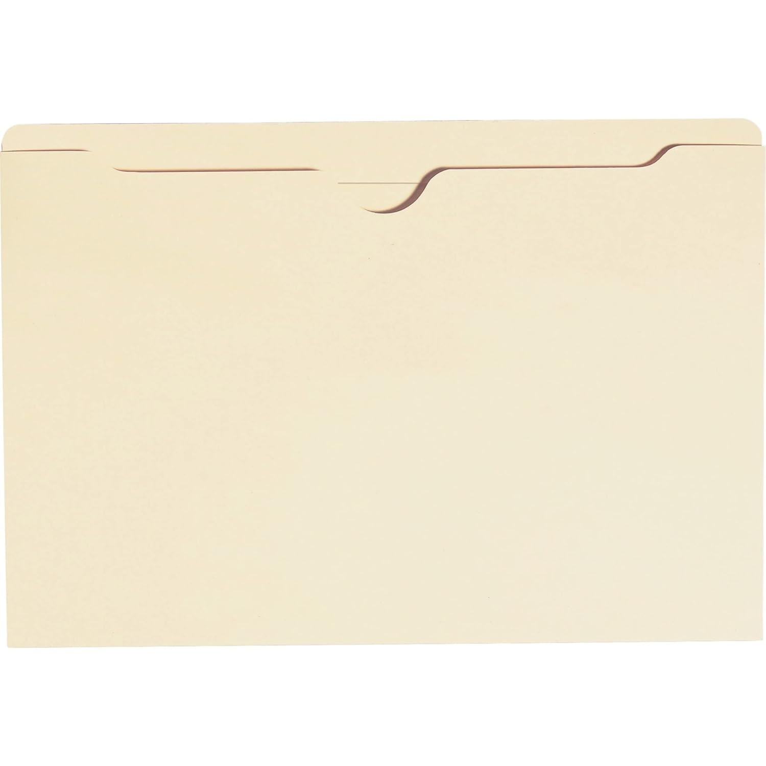 File Jacket, Reinforced Straight-Cut Tab, Flat-No Expansion, Legal Size, M