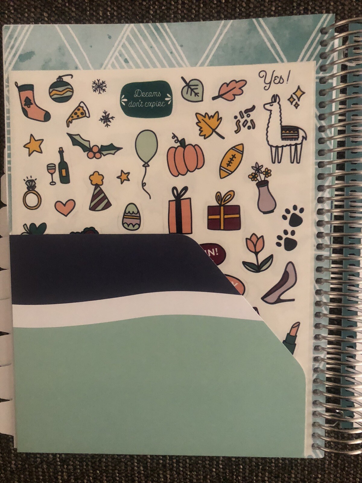 The Budget Mom/ Live Rich Planner /Monthly Calendar/ Personal Finance/ Stickers