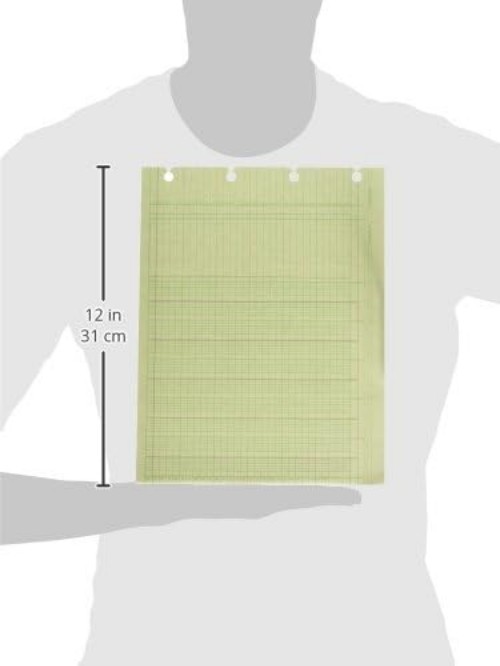 G1010 Accounting Sheets, 10 Column, 9-1/4 x 11-7/8, Green Pack of 100 Loose S…