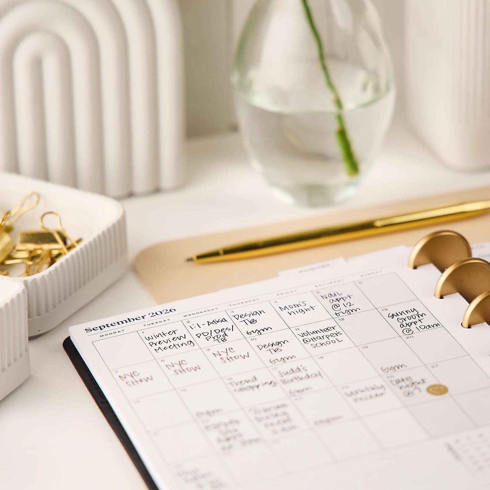 Blue Sky Citrine 2026 Calendar Planner Weekly New Year Faux Black Suede Ribbon