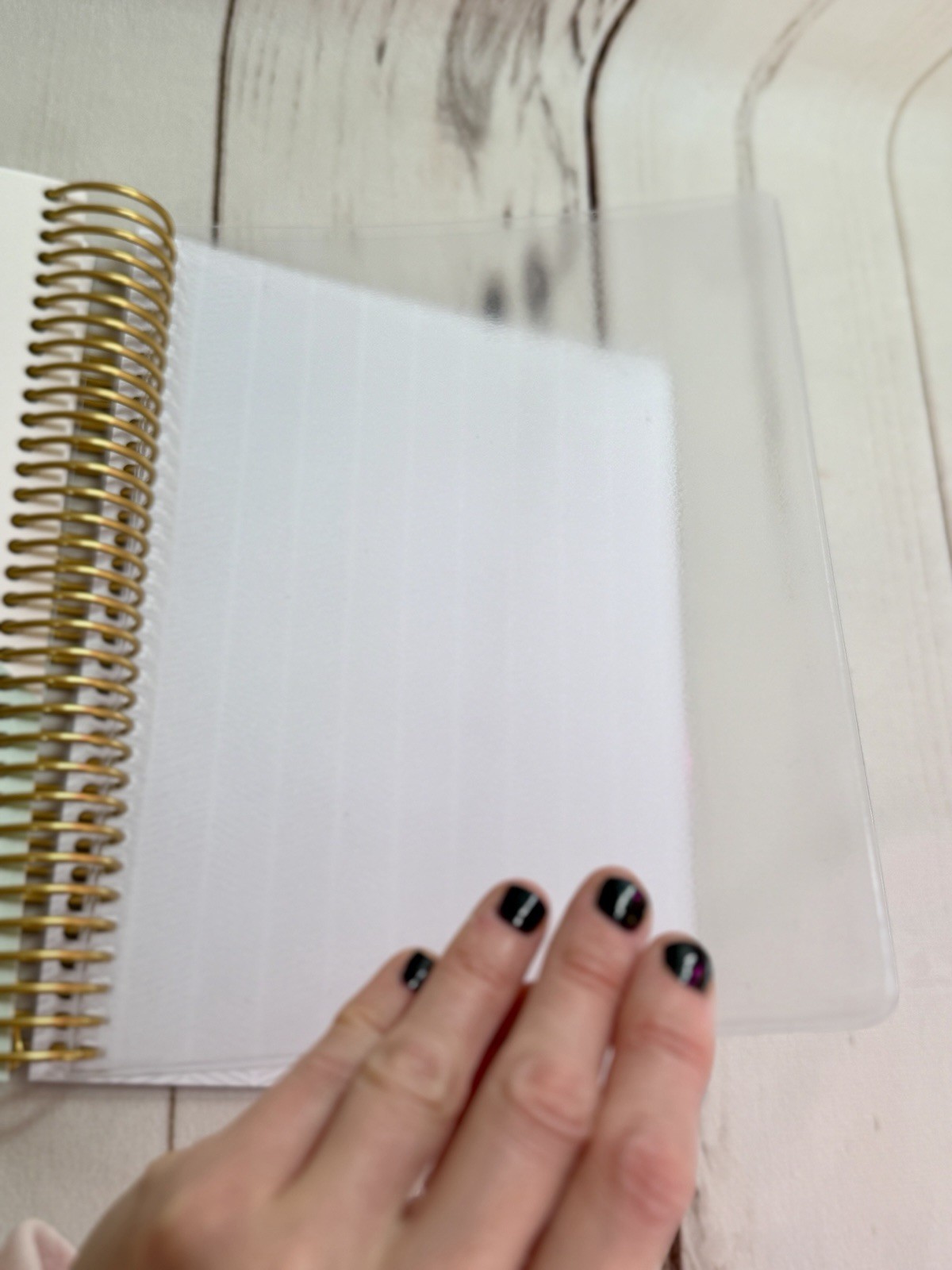 NEW Plum Paper A5 Month Hourly Daily Planner Feb – July 2026 Gold Coil Pink