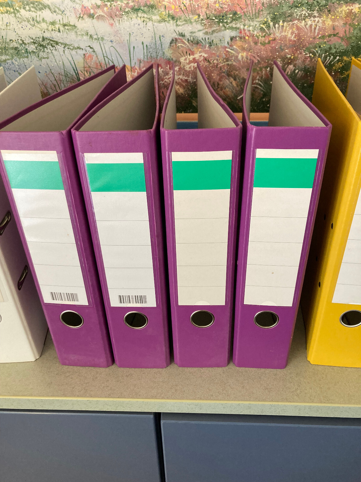 Leitz Binder 50mm A4 Spine 180 Degree Plastic Lever Arch File – red