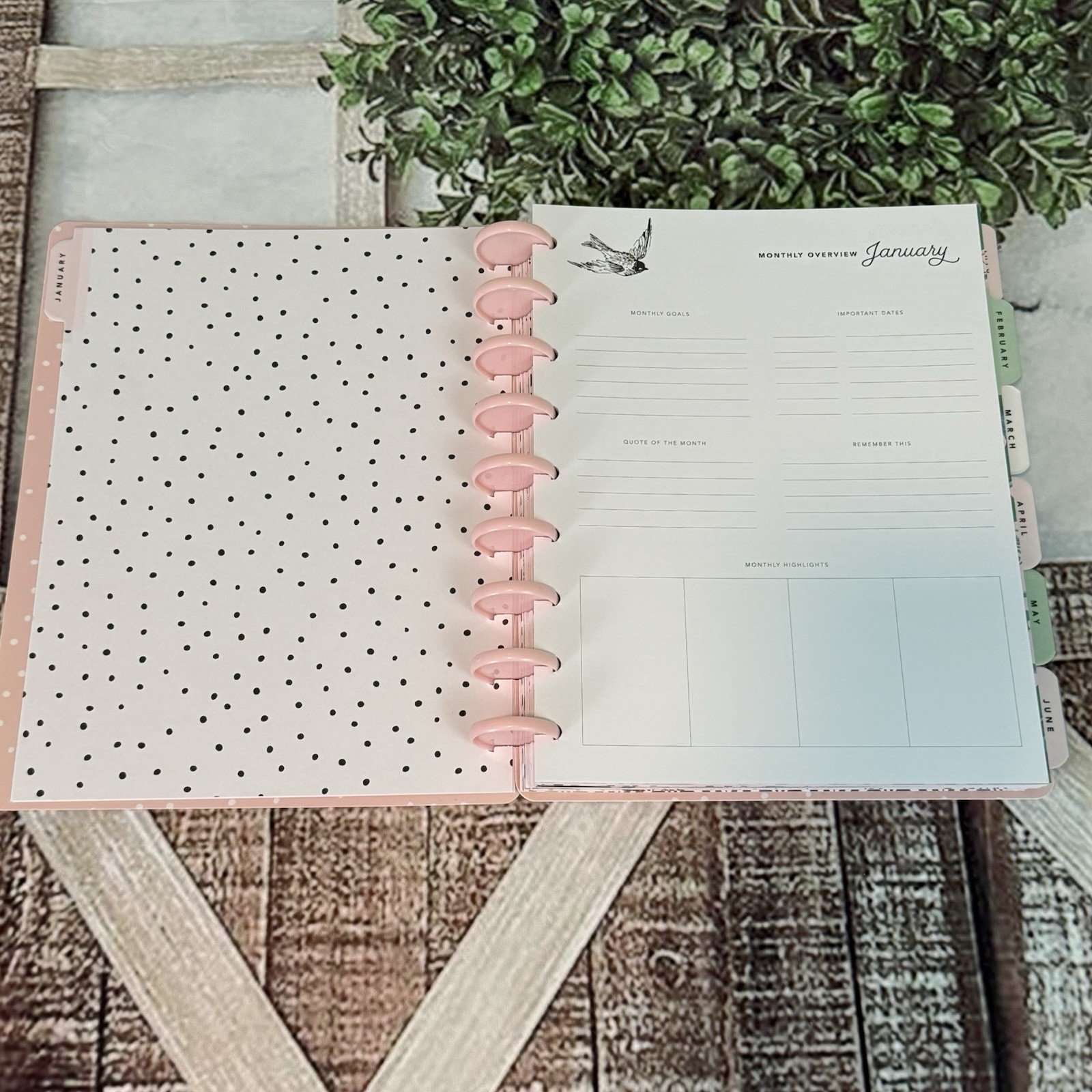 Maggie Holmes Day to Day Undated Pages Planner English Garden Scrapbooking 20/21