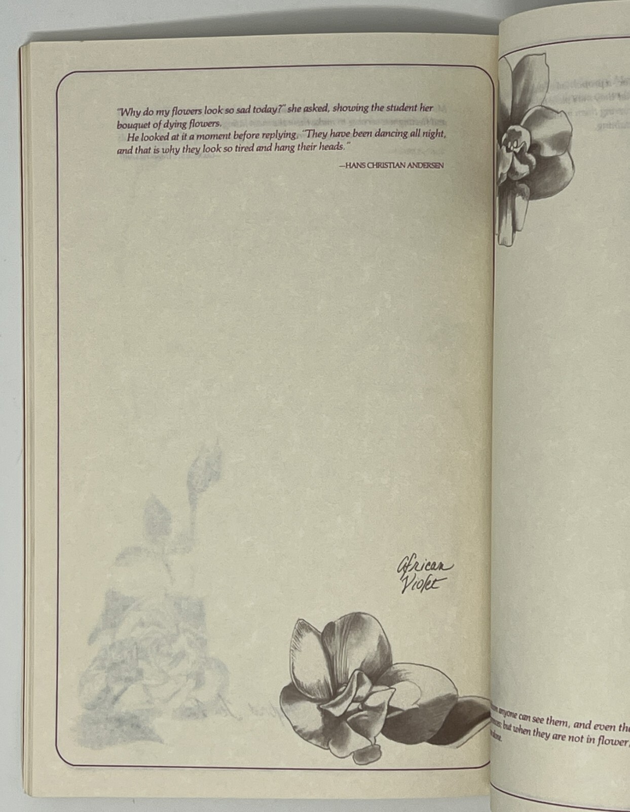 Flower Notebook: Illustrated Journal w/ Space for Notes – 1985 PB Running Press