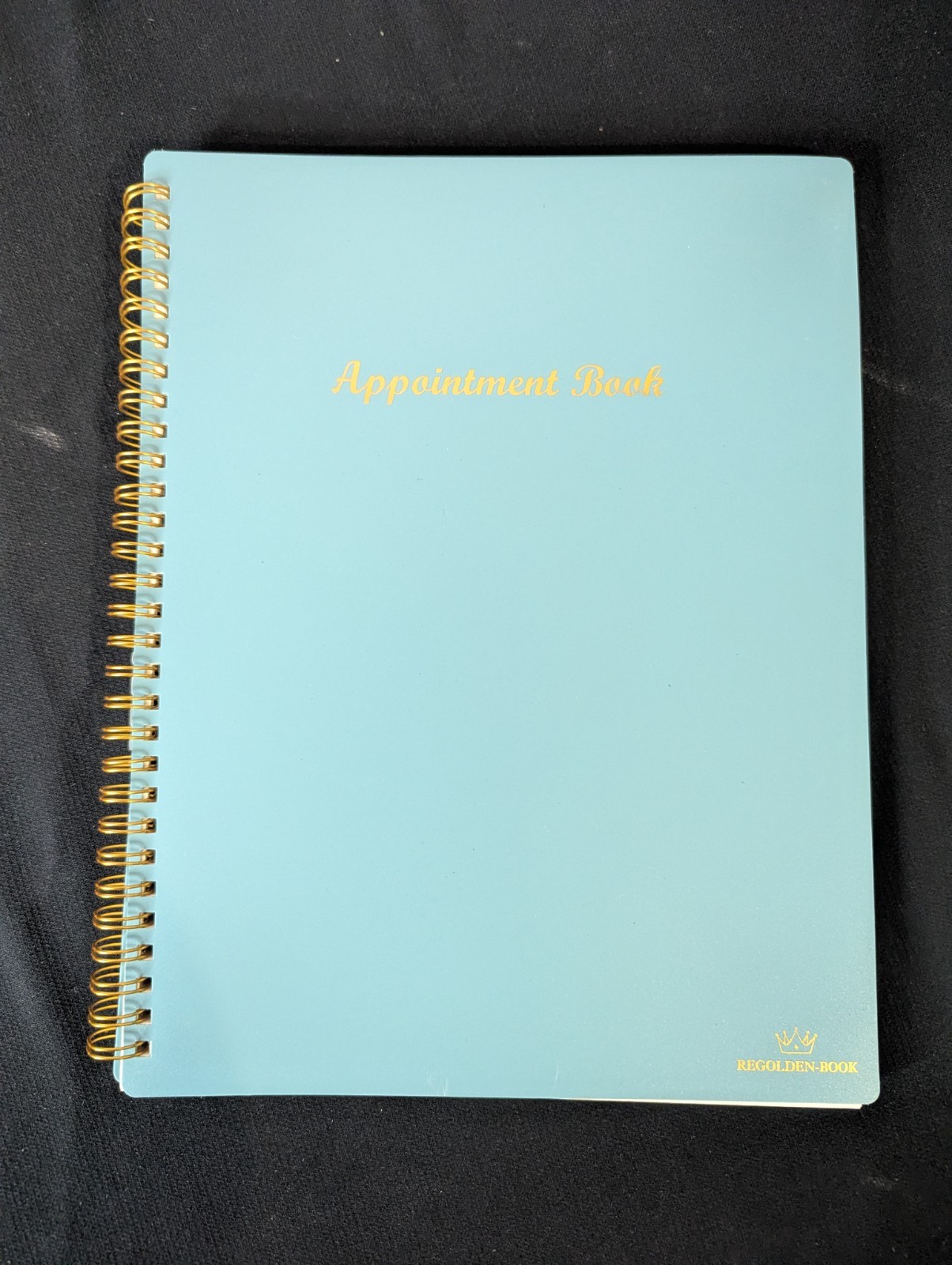 Regolden Appointment book month year to do notes goals weekly reviews BRAND NEW