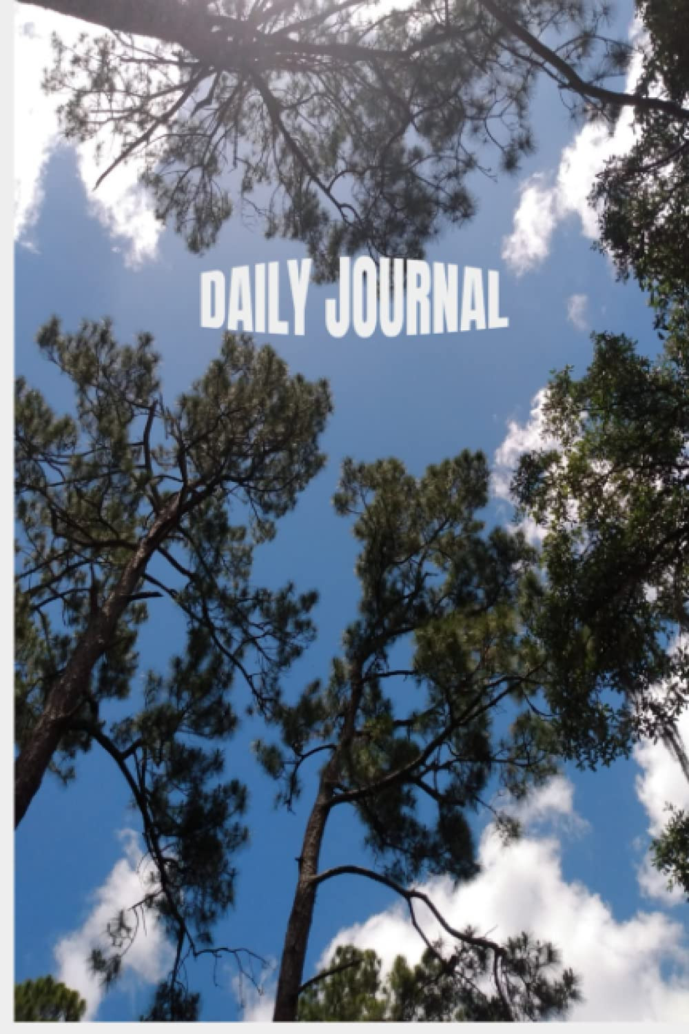 DAILY JOURNAL: PERSONAL JOURNAL for EVERYDAY USE.