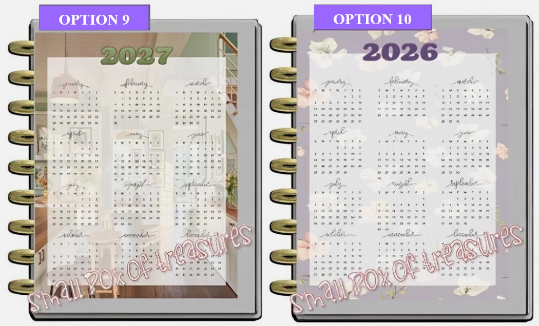 Yearly Calendar 2024-25 Two Sided Dashboard Insert for use with Happy Planner-