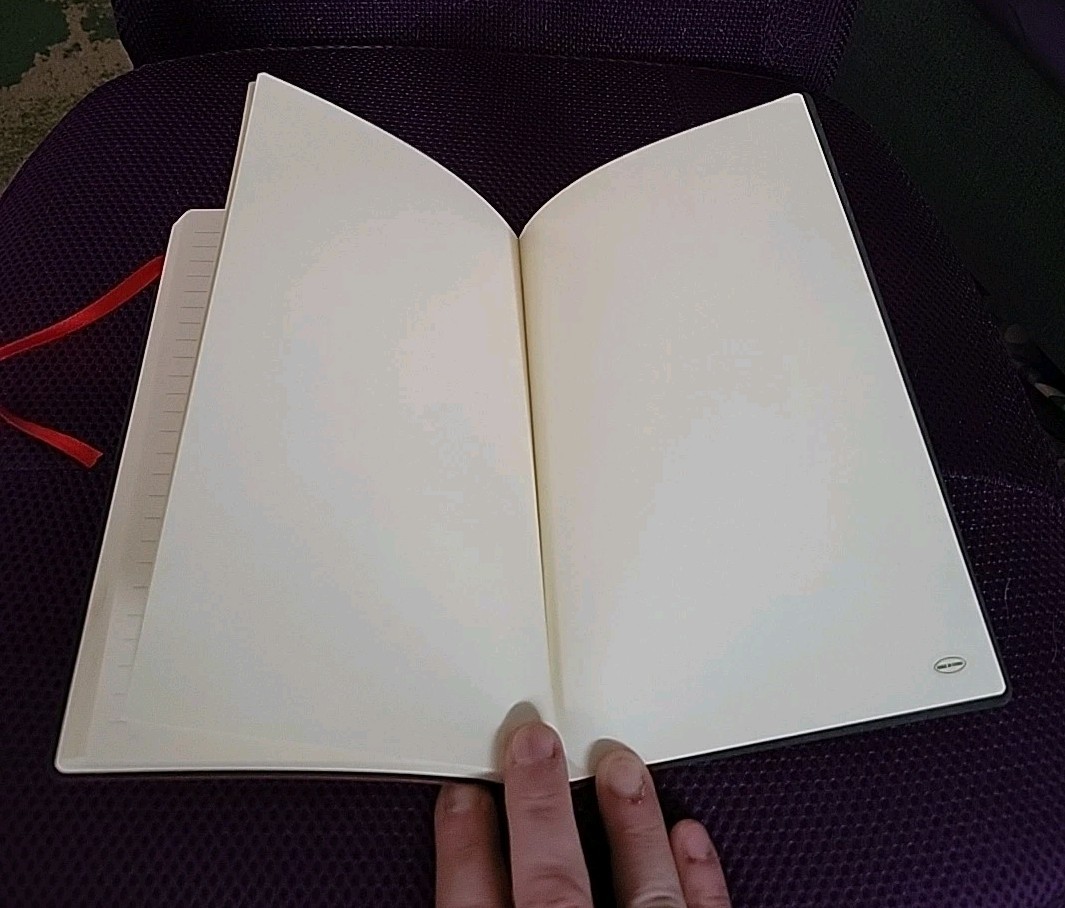 Red Leather Journal Takeda Logo Blank Lined Notebook 8.25″ x 5.37″ FREE SHIPPING